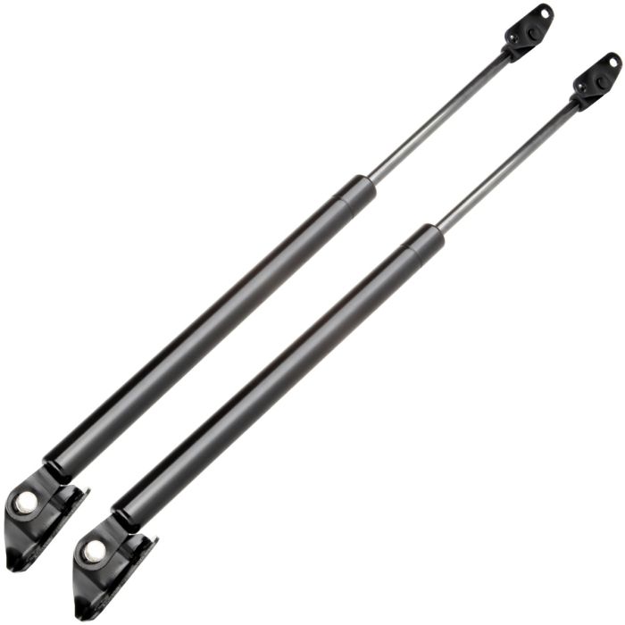 1999-2003 Lexus RX300 Rear Liftgate Hatch Tailgate Lift Supports 2Pcs