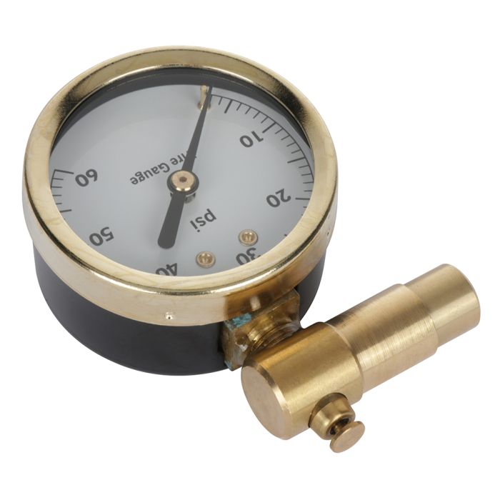 Tire Inflator with Pressure Gauge 60 PSI Fit for All Vehicles 