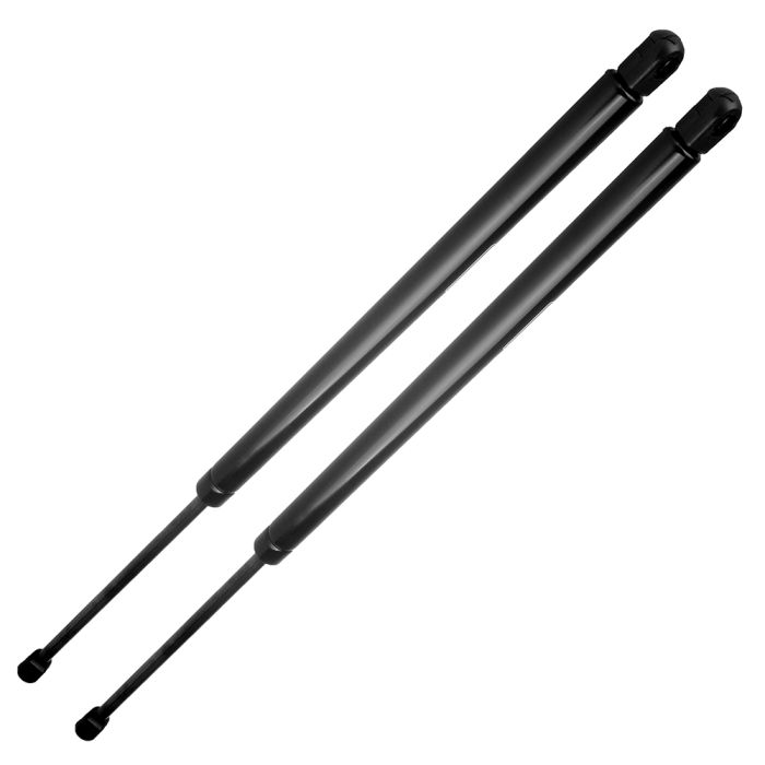 2004-2008 Chrysler Pacifica Liftgate Hatch Tailgate Lift Supports Rear 2 Pcs