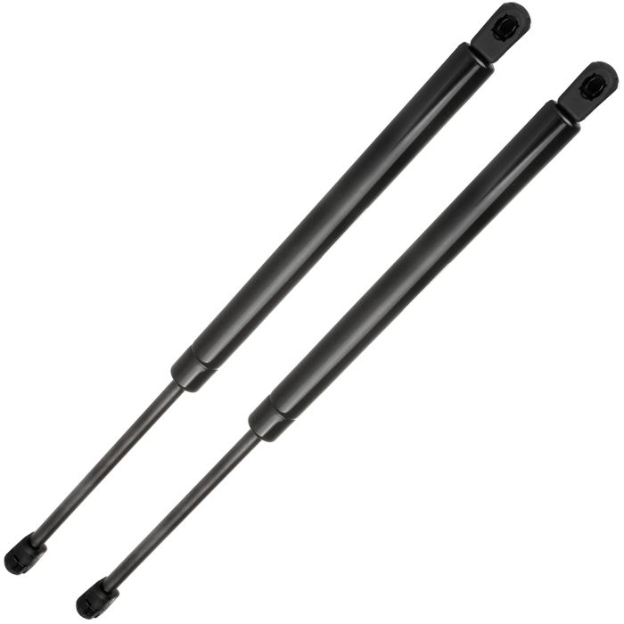 2001-2005 Pontiac Aztek Rear Window Glass Lift Supports 2Pcs