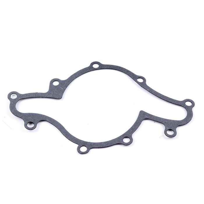 Water Pump with Gasket(AW4087) for Ford -1pc