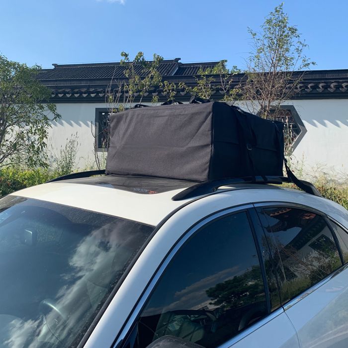 Roof Top Cargo Carrier Bag - 1pc