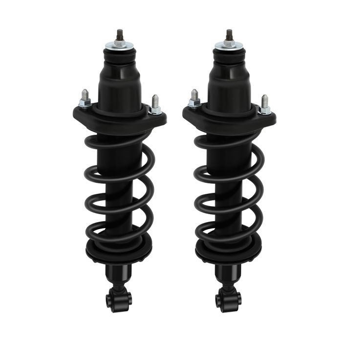 For 2001-2005 Honda Civic Rear Pair Quick Complete Struts Shocks Spring Assembly 