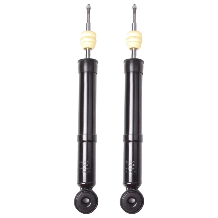 Front Pair Struts Shocks For Ford F-150 2WD 2004-2008 Left Right