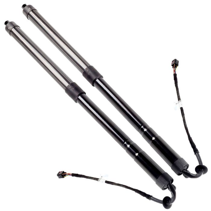 2012-2017 Land Rover Range Rover Evoque Liftgate Lift Supports Rear 2 Pcs
