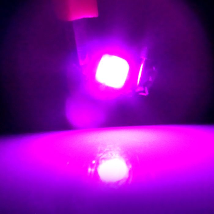 10 X Pink/Purple B8.4D B8 LED Bulbs Instrument Panel Cluster Gauge Dash Light